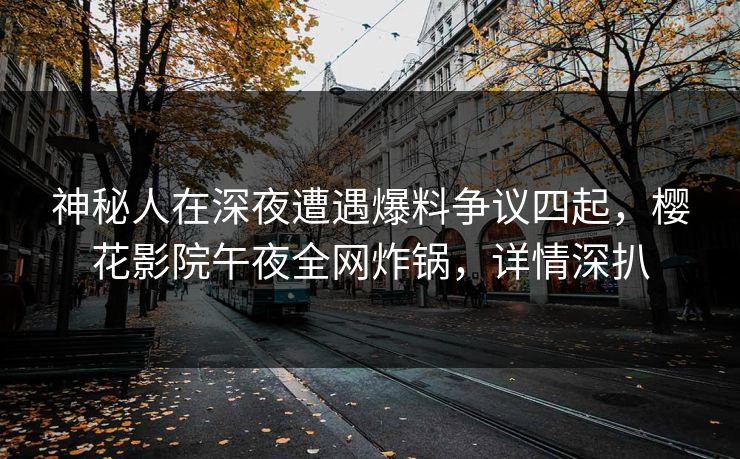 神秘人在深夜遭遇爆料争议四起，樱花影院午夜全网炸锅，详情深扒