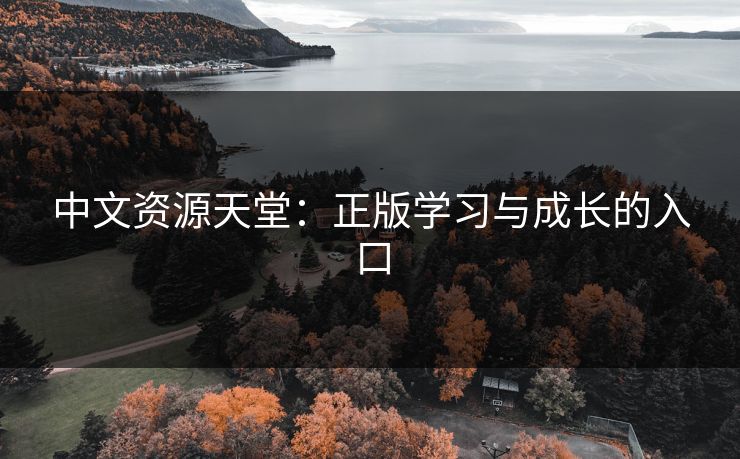 中文资源天堂：正版学习与成长的入口